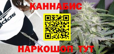 a pvp Жуковский