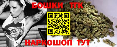 тгк Будённовск