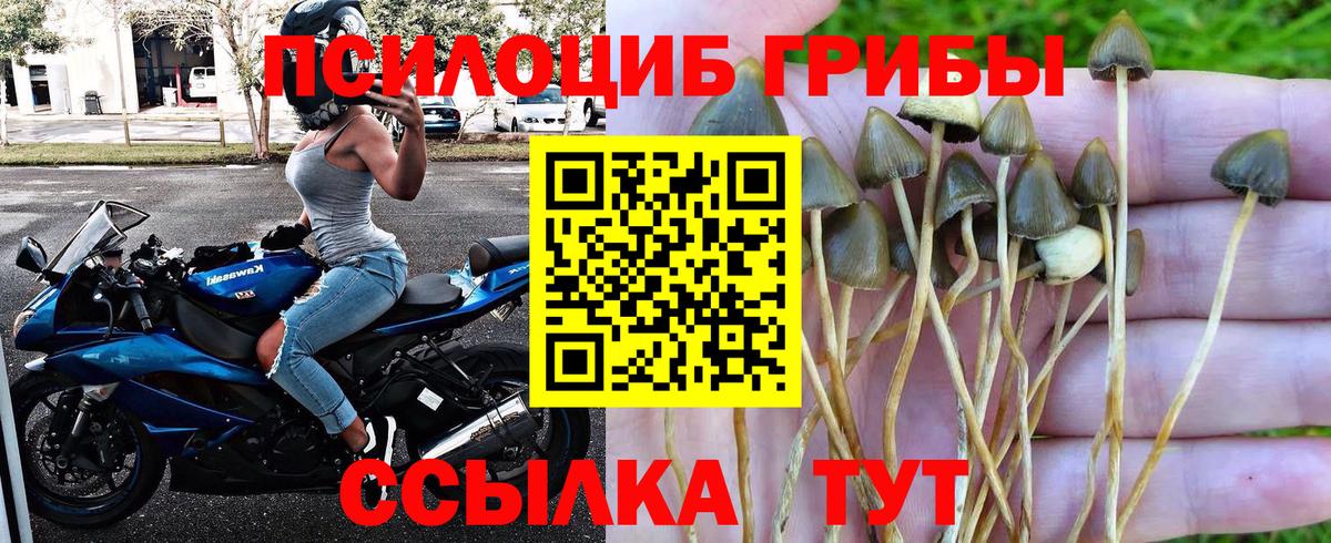 Псилоцибиновые грибы мухоморы Кинешма