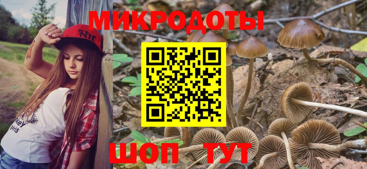 Кинешма  Псилоцибиновые грибы прущие грибы  Галлюциногенные грибы Psilocybe  Вход с VPN 