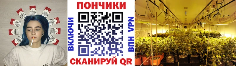 Канабис Amnesia  купить наркотики сайты  Кинешма 